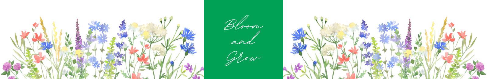 bloom and grow